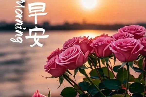 健康是最大的财富,生命无价,疾病常伴左右 健康是最大的财富,生命无价,疾病常伴左右