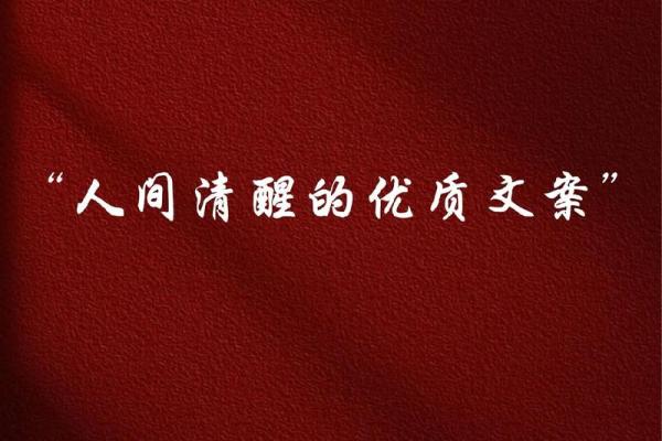 不想结婚的背后：追寻自我与自由的生活选择