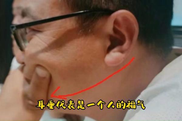 耳垂上翘的女孩:命运与性格的秘密探究 耳垂上翘的女孩:命运与性格的秘密探究