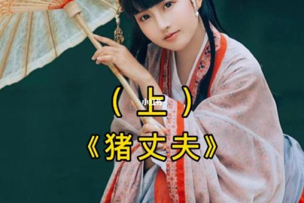 猪媳妇的丈夫：命运的多重解读与人生的哲学思考