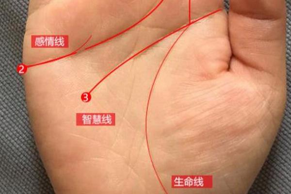 1995年出生的你:让我们一起解密6.9命运的奥秘! 1995年出生的你:让我们一起解密6.9命运的奥秘!