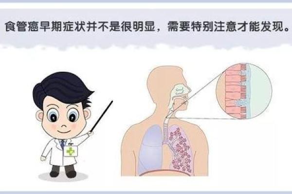当骨折成为致命隐患:老年人的健康警钟 当骨折成为致命隐患:老年人的健康警钟