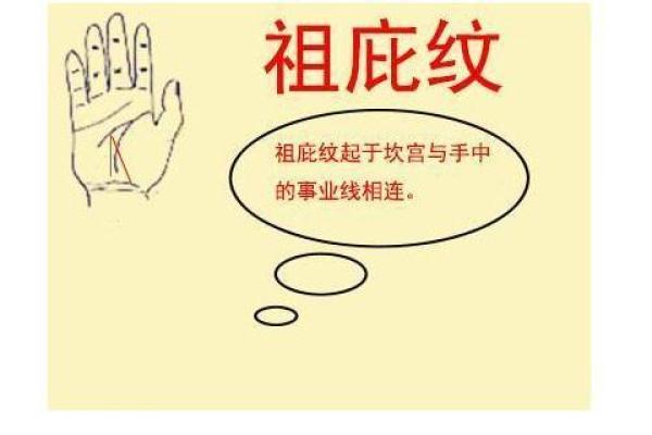 探秘沙土命:理解其魅力与独特之处 探秘沙土命:理解其魅力与独特之处