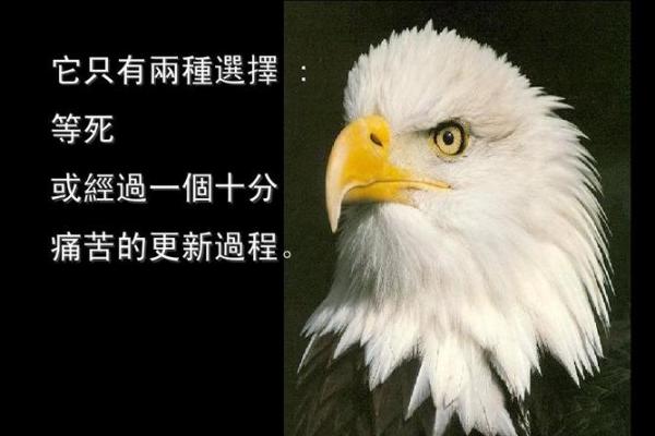 1977年正月十八:命运的交错与人生的启示 1977年正月十八:命运的交错与人生的启示