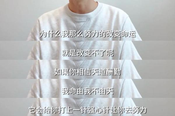 人不能随意改命，但为何我们还要努力改变命运？
