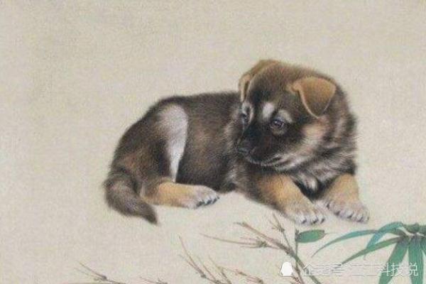 1970年金命人适合从事的行业解析与发展建议 1970年金命人适合从事的行业解析与发展建议