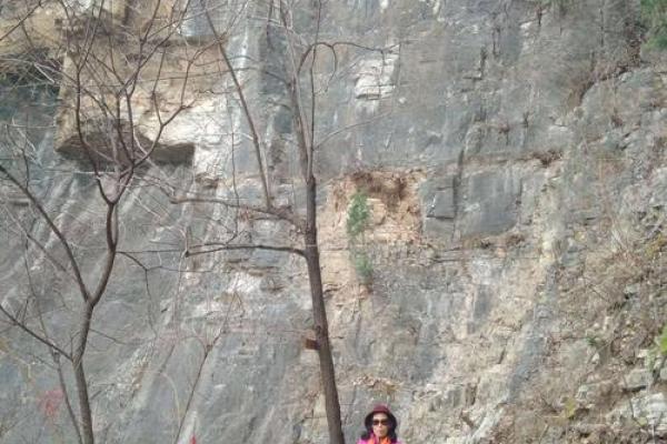 探秘丁卯日辰时:揭示你的命格与人生之路 探秘丁卯日辰时:揭示你的命格与人生之路