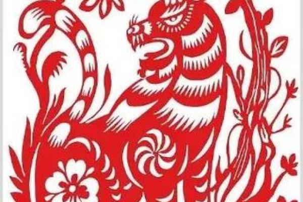 1970年出生的人属什么命卦?解密生肖与命运的奥秘 1970年出生的人属什么命卦?解密生肖与命运的奥秘