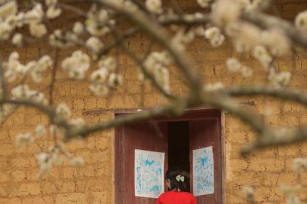 1982年腊月三十:时光的魔幻与人心的牵绊 1982年腊月三十:时光的魔幻与人心的牵绊