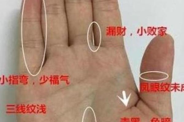 1971年出生者的命格解析与人生启示