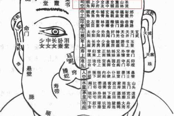1970年出生女孩的命理解析:你是几命,命运如何? 1970年出生女孩的命理解析:你是几命,命运如何?