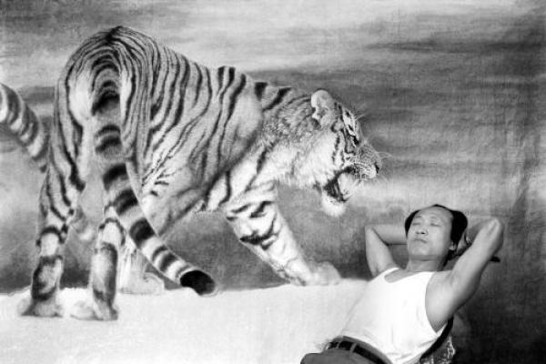 2011年辛卯年虎命详解:探寻虎人的性格与命运 2011年辛卯年虎命详解:探寻虎人的性格与命运