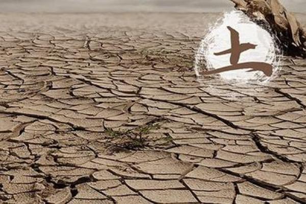 1995年出生的朋友,你的土命是如何影响你的命运的? 1995年出生的朋友,你的土命是如何影响你的命运的?