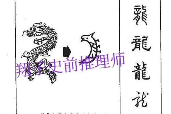 揭开生肖之谜：不同年份的命运解析与人生启示