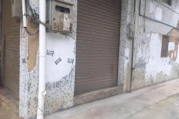 2019年2月20日出生的人命运与性格解析 2019年2月20日出生的人命运与性格解析