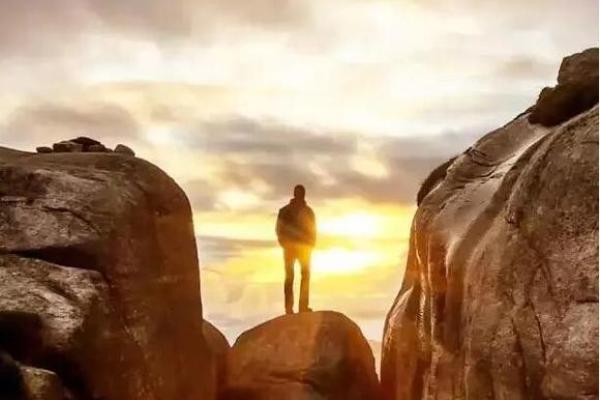 1986年属兔者的命运解析与人生指南 1986年属兔者的命运解析与人生指南