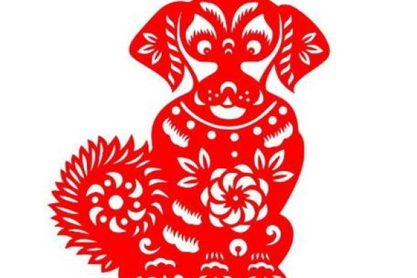 1982年出生的人命缺什么,如何改善运势? 1982年出生的人命缺什么,如何改善运势?