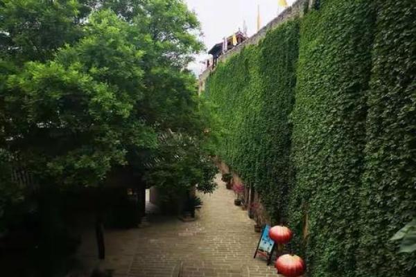 探索千禧年后人们的命运与机遇:1001年的启示与反思 探索千禧年后人们的命运与机遇:1001年的启示与反思