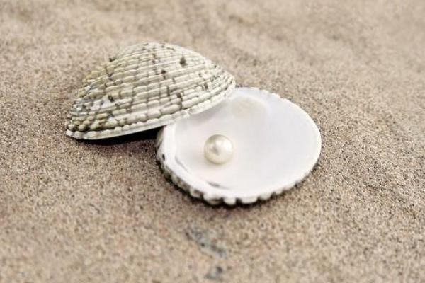 海中金与命运的奇妙缘分:探索命理与金元素的深刻关系 海中金与命运的奇妙缘分:探索命理与金元素的深刻关系