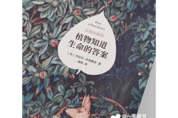 法身与慧命:探索灵性世界的奥秘与智慧 法身与慧命:探索灵性世界的奥秘与智慧