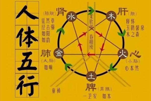 松柏木命与五行相生之道：探索自然的和谐与平衡