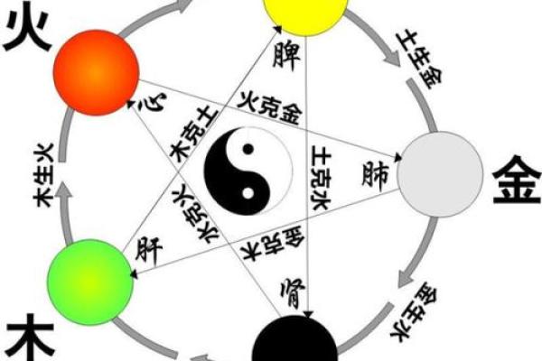 火木命者适合的职业选择与发展之路 火木命者适合的职业选择与发展之路