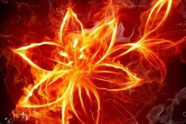 火命者最旺财的颜色究竟是什么?听听专业人士的观点! 火命者最旺财的颜色究竟是什么?听听专业人士的观点!