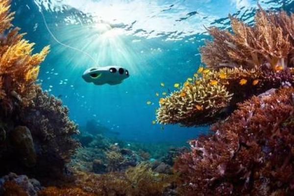 大海水命的女人与哪些命最相配的迷人探讨 大海水命的女人与哪些命最相配的迷人探讨