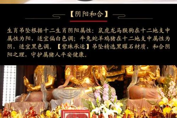 探秘2019年属猪人的命理秘密,助你开启人生新篇章! 探秘2019年属猪人的命理秘密,助你开启人生新篇章!