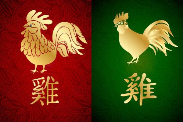 2017年:火鸡年与自身命运的深刻启示 2017年:火鸡年与自身命运的深刻启示