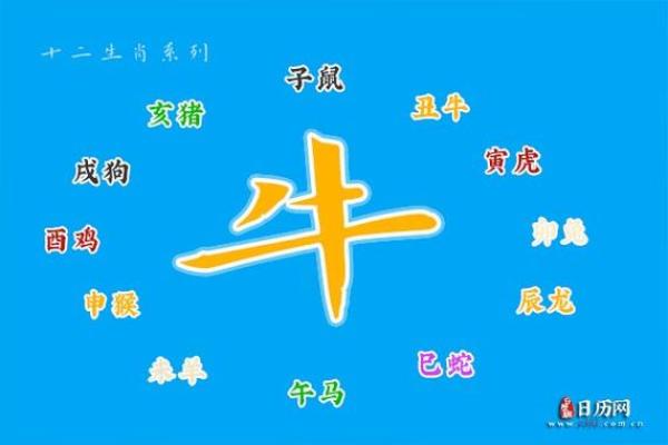 揭秘九八七五行属什么命,揭开命运的神秘面纱! 揭秘九八七五行属什么命,揭开命运的神秘面纱!