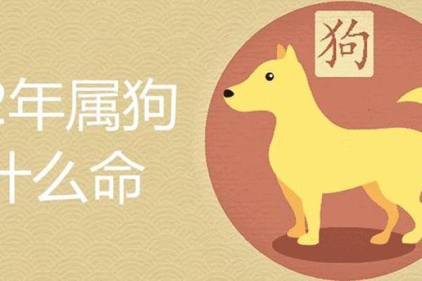 属狗山头火命的人格特征及喜好详解