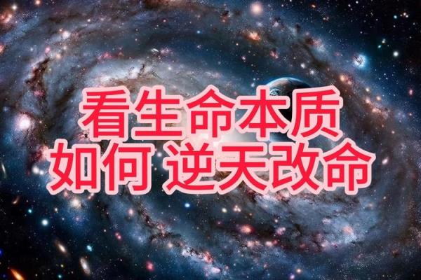 探索男人说“命给你”的深意:情感与承诺的交织 探索男人说“命给你”的深意:情感与承诺的交织