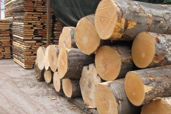 大林木命的人适合什么木头?揭秘最佳选择与木材养生之道 大林木命的人适合什么木头?揭秘最佳选择与木材养生之道