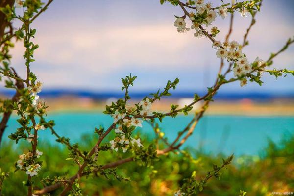 2018年腊月十八:追忆岁月的温暖与感动,看生活的点点滴滴 2018年腊月十八:追忆岁月的温暖与感动,看生活的点点滴滴