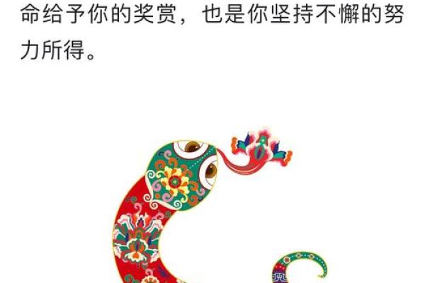 2013年蛇年运势解析:如何把握命运的机会与挑战 2013年蛇年运势解析:如何把握命运的机会与挑战