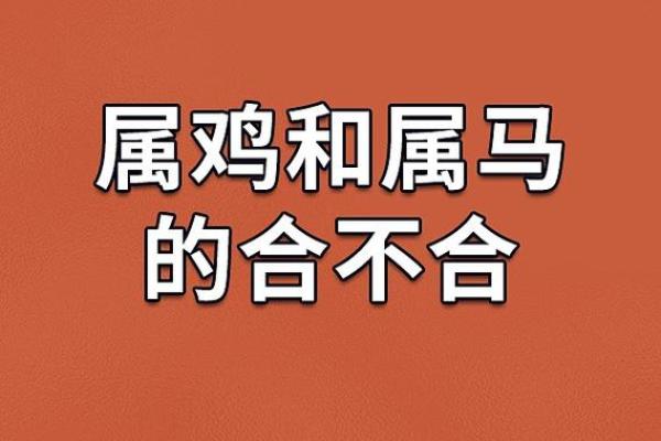 腊月女性命运的隐秘与鸡年的关系探秘 腊月女性命运的隐秘与鸡年的关系探秘