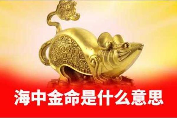 海中金命者的命理解析:应避开的五大忌讳 海中金命者的命理解析:应避开的五大忌讳