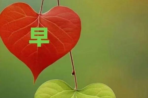 福薄缘浅之命,探寻人生命运的真谛 福薄缘浅之命,探寻人生命运的真谛