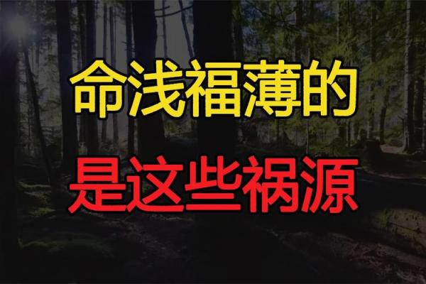 福薄缘浅之命,探寻人生命运的真谛 福薄缘浅之命,探寻人生命运的真谛