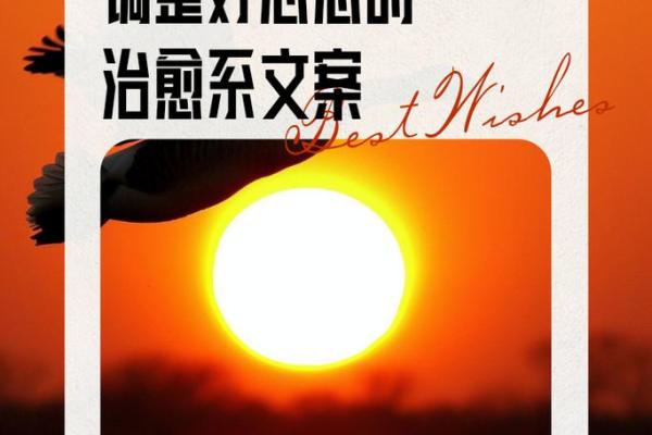 1995年腊月26日的宿命启示:唯有内心的宁静才能指引人生的方向 1995年腊月26日的宿命启示:唯有内心的宁静才能指引人生的方向