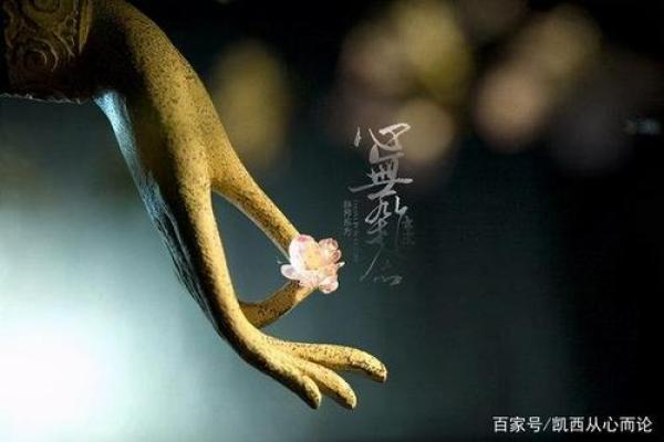 1995年腊月26日的宿命启示:唯有内心的宁静才能指引人生的方向 1995年腊月26日的宿命启示:唯有内心的宁静才能指引人生的方向