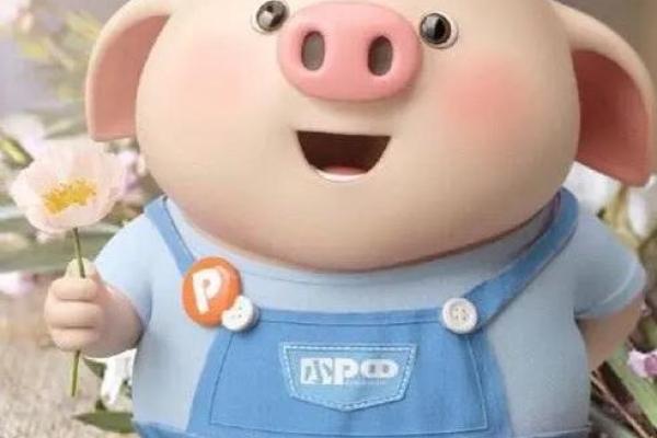 2007年属猪人的命运与人生解析:善良与智慧并存的旅程 2007年属猪人的命运与人生解析:善良与智慧并存的旅程