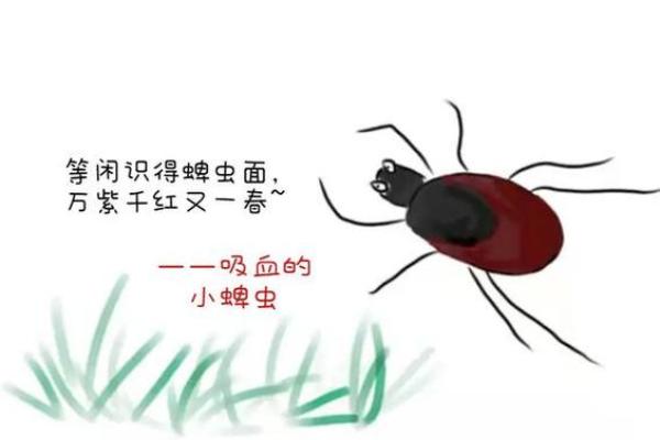 草爬子的命运揭秘:算命中草爬子的命究竟意味着什么? 草爬子的命运揭秘:算命中草爬子的命究竟意味着什么?