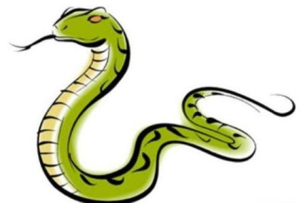 29岁属蛇的命运解析与人生建议