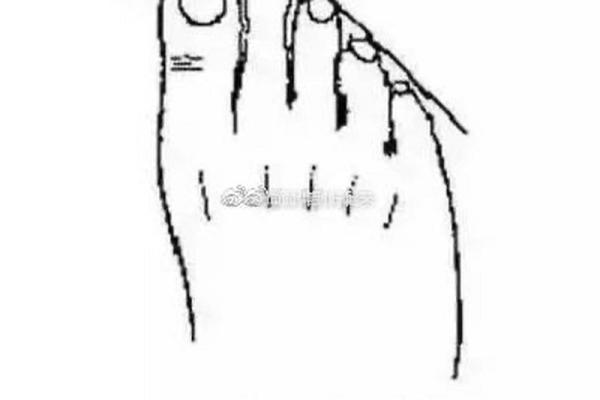 从脚的形状看出一个人的命运与性格秘密 从脚的形状看出一个人的命运与性格秘密