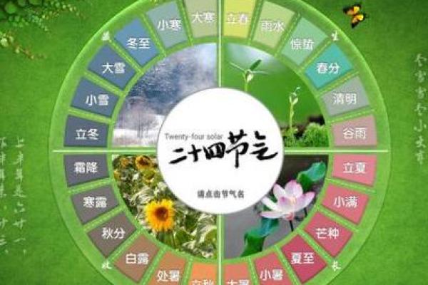 2017年出生的孩子命运与属相解析:揭秘他们的未来之路 2017年出生的孩子命运与属相解析:揭秘他们的未来之路