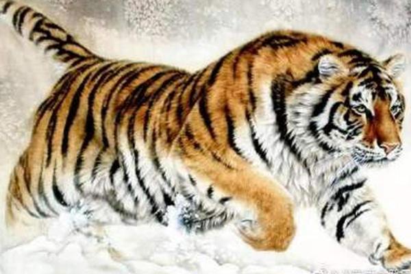 2007年的命运之路:揭示命理中的生肖与五行 2007年的命运之路:揭示命理中的生肖与五行