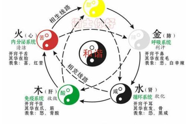 海中金命与五行相生之道:揭示最佳搭配的智慧 海中金命与五行相生之道:揭示最佳搭配的智慧