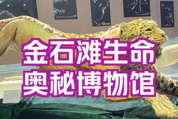 探索生命的奥秘:寻找存在的意义与价值 探索生命的奥秘:寻找存在的意义与价值